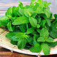 Mentol natural
